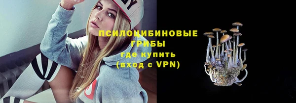 МДПВ Киренск